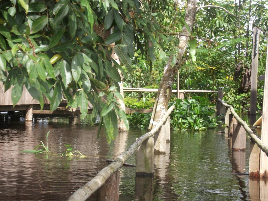 Amazon Arowana Lodge Careiro Exterior foto